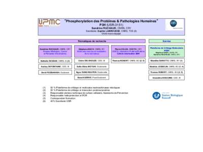 “Phosphorylation des Protéines & Pathologies Humaines” P3H (USR[removed]Sandrine RUCHAUD, CNRS, CR1 Secrétaire: Sophie LABROUSSE, CNRS, TCS (6) Unité mono-équipe Service