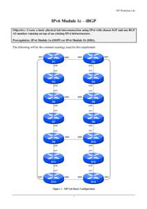 ISP Workshop Lab  IPv6 Module 1c – iBGP Objective: Create a basic physical lab interconnection using IPv6 with chosen IGP and one BGP AS number running on top of an existing IPv4 infrastructure. Prerequisites: IPv6 Mod