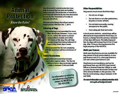 Animal Protection Know the Rules! New Brunswick’s animal protection laws help to ensure that our pets are healthy,