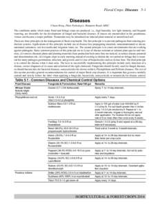 Floral Crops: Diseases 5-1  Diseases Chuan Hong, Plant Pathologist, Hampton Roads AREC The conditions under which many floral and foliage crops are produced, i.e., high humidity, low light intensity, and frequent
