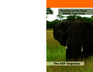 Poaching and the Illegal Wildlife Trade Crisis ABOUT THE GEF The Global Environment Facility is a partnership for international cooperation where 183 countries work together with international institutions, civil society
