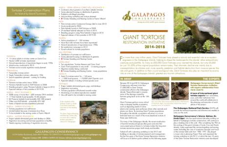 Tortoise Conservation Plans An Island-by-Island Summary ISABELA – SIERRA NEGRA & CERRO AZUL VOLCANOS  •	 Confusion about genetics of southern Isabela tortoises •	 Survey planned focusing on distribution & geneti