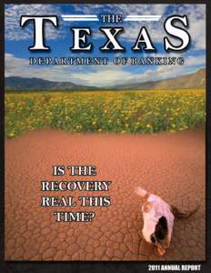 Agency Mission To ensure Texas has a safe, sound and competitive financial services system. Agency Philosophy Adhere to the highest ethical and professional standards;