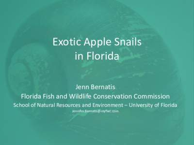 Exotic Apple Snails in Florida Jenn Bernatis Florida Fish and Wildlife Conservation Commission School of Natural Resources and Environment – University of Florida [removed]