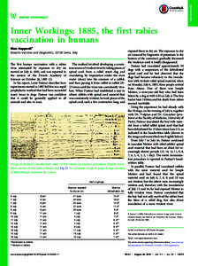 Vaccination / Rabies / Joseph Meister / Louis Pasteur / Microbiology / Vaccine / Rabbits in Australia / Rabbit / Virus / Biology / Health / Medicine