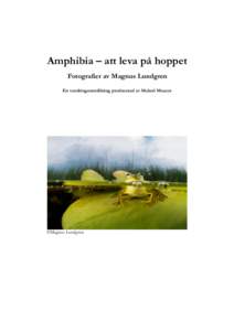 Amphibia – att leva på hoppet Fotografier av Magnus Lundgren En vandringsutställning producerad av Malmö Museer ©Magnus Lundgren