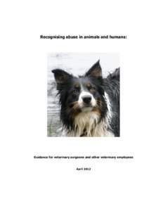 Recognising abuse in animals and humans:  Guidance for veterinary surgeons and other veterinary employees April 2012