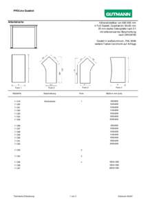 (PROLine Technische Erläuterung)