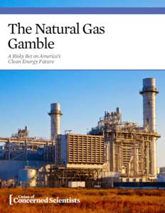 The Natural Gas Gamble A Risky Bet on America’s Clean Energy Future  The Natural Gas