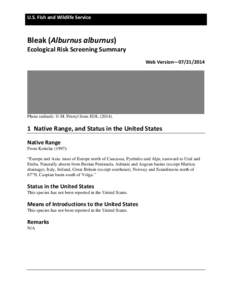 U.S. Fish and Wildlife Service  Bleak (Alburnus alburnus) Ecological Risk Screening Summary Web Version—[removed]