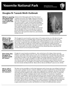 Yosemite National Park  National Park Service U.S. Department of the Interior  Douglas-fir Tussock Moth Outbreak