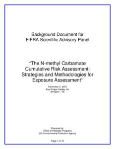 The N-methyl Carbamate Cumulative Risk Assessment: Strategies and Methodologies for Exposure Assessment