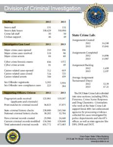 Division of Criminal Investigation Staffing