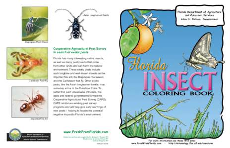 Asian Longhorned Beetle  Florida Department of Agriculture and Consumer Services Adam H. Putnam, Commissioner