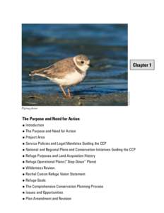 Richard Kuzminski  Chapter 1 Piping plover