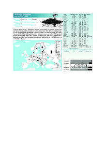 Birds in Europe – Grebes  Podiceps grisegena