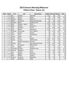 2013 Extreme Mustang Makeover Pattern Class - Norco, CA Place 1 2 3