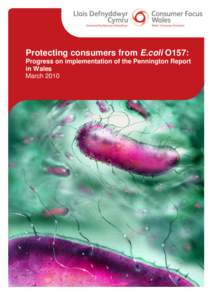 Safety / Food safety / South Wales E. coli O157 outbreak / Hugh Pennington / Public inquiry / Escherichia coli O157:H7 / Raw meat / Hazard analysis and critical control points / Critical control point / Escherichia coli / Bacteria / Health