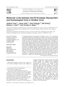 Molecular Links between the E2 Envelope Glycoprotein and Nucleocapsid Core in Sindbis Virus