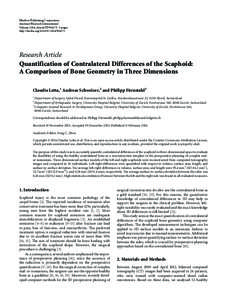 Quantification of Contralateral Differences of the Scaphoid: A Comparison of Bone Geometry in Three Dimensions