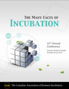 The Many Faces of  Incubation Accelerators  Life