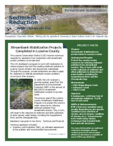 Water / Hydrology / Rivers / Water streams / Habitats / Riparian zone / Wapwallopen /  Pennsylvania / Big Wapwallopen Creek / Sediment / Environment / Earth / Environmental soil science