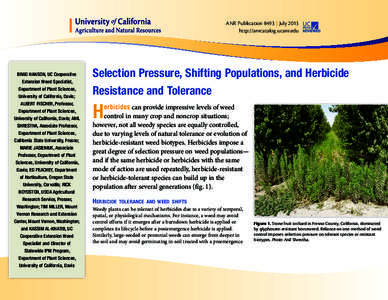 ANR Publication 8493 | July 2013 http://anrcatalog.ucanr.edu BRAD HANSON, UC Cooperative Extension Weed Specialist, Department of Plant Sciences,