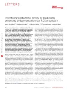 Potentiating antibacterial activity by predictably enhancing endogenous microbial ROS production