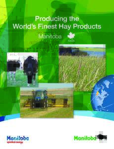 Producing the World’s Finest Hay Products Manitoba Manitoba Hay Products – Serving Canada, USA and the World Some of the finest quality hay in the world is produced in Manitoba. Fertile