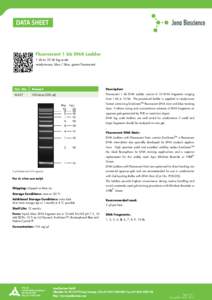 Fluorescent 1 kb DNA Ladder 1 kb to 10 kb log scale ready-to-use, blue / blue, green fluorescent Cat. No.