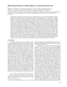 Hierarchical Patterns of Global Human Y-Chromosome Diversity Michael F. Hammer,*† Tatiana M. Karafet,* Alan J. Redd,* Hamdi Jarjanazi,* Silvana Santachiara-Benerecetti,‡ Himla Soodyall,§ and Stephen L. Zegura†