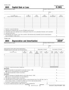 2005 Capital Gain or Loss/Depreciation and Amortization