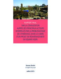 RAPPORT FINAL SUR LA CONSULTATION AUPRÈS DES PRINCIPAUX ACTEURS INTERPELLÉS PAR LA PROBLÉMATIQUE DE L’ITINÉRANCE, DANS LE CADRE D’UN PROJET DE RÉAMÉNAGEMENT