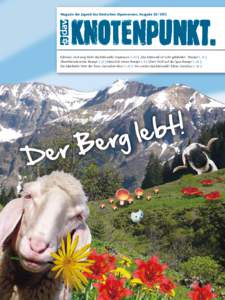 Magazin der Jugend des Deutschen Alpenvereins. AusgabeEditorial, Und ewig blüht das Edelweiß!, Impressum S. 60 || „Das Edelweiß ist nicht gefährdet.“, Rezept S. 61 || Überlebenskünstler, Rezept S. 62 