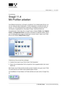 SI.003, Version 1.1 – [removed]Kurzanleitung Snagit 11.4 Mit Profilen arbeiten