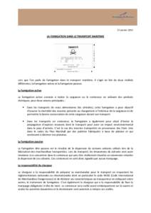 DECRYPTAGE_ENVIRONNEMENT_FUMIGATION_17012013