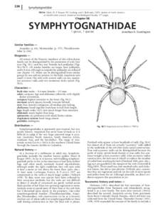 226  Symphytognatidae FROM:	Ubick,	D.,	P.	Paquin,	P.E.	Cushing,	and	V.	Roth	(eds).	2005.	Spiders	of	North	America:	 an	identification	manual.	American	Arachnological	Society.	377	pages.