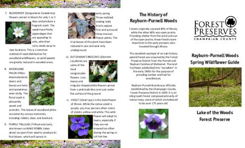 Botany / Flowers / Biology / Flora of North America / Phlox / Polemoniaceae / Trillium / Viola / Allium / Mertensia virginica / Sanguinaria / Geranium