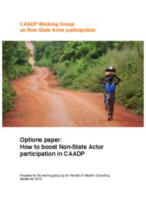 CAADP Working Group on Non-State Actor participation Options paper: How to boost Non-State Actor participation in CAADP