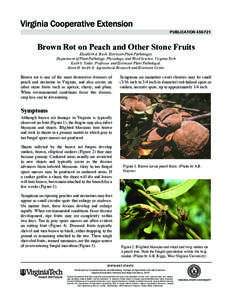 Agriculture / Monilinia fructicola / Peach / Drupe / Grapholita molesta / Fruit tree / Fruit / Fungicide use in the United States / Black rot / Botany / Biology / Sclerotiniaceae
