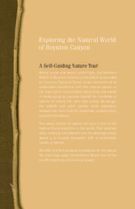 Exploring the Natural World of Boynton Canyon A Self-Guiding Nature Tour Where forest and desert intermingle, Enchantment Resort in Boynton Canyon is completely surrounded by Coconino National Forest. In our commitment t