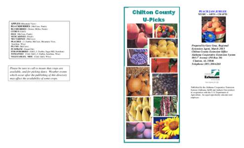 Chilton County U-Picks APPLES (Mountain View) BLACKBERRIES (McCraw, Petals) BLUEBERRIES (Doster, Miller, Petals) CITRUS (G&G)