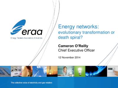 Energy networks: evolutionary transformation or death spiral? Cameron O’Reilly Chief Executive Officer 12 November 2014