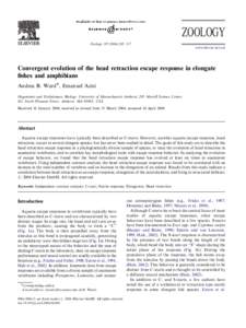 ARTICLE IN PRESS  ZOOLOGY Zoology–217 www.elsevier.de/zool
