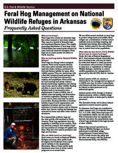 U.S. Fish & Wildlife Service  Feral Hog Management on National Wildlife Refuges in Arkansas Frequently Asked Questions