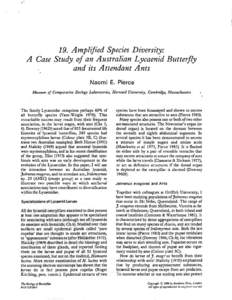 t[removed]Amplified Species Diversity: A Case Study of an Australian Lycaenid Butterfly