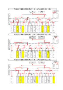 平成２０年度桶川市民秋季ソフトボール大会組合せ表（一部） 優勝 鴨川ソフトクラブ 3位決定戦