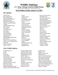 Wildlife Sightings J.N. “Ding” Darling National Wildlife Refuge These include Wildlife Drive and the Bailey Tract Week Ending Tuesday, January 14, 2014 Bird Sightings