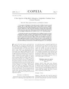 COPEIA  2005, No. 2