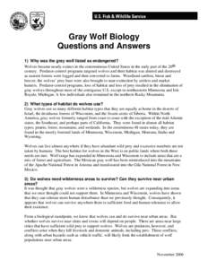 Gray Wolf Biology Questions and Answers 1) Why was the gray wolf listed as endangered? Wolves became nearly extinct in the conterminous United States in the early part of the 20th century. Predator-control programs targe